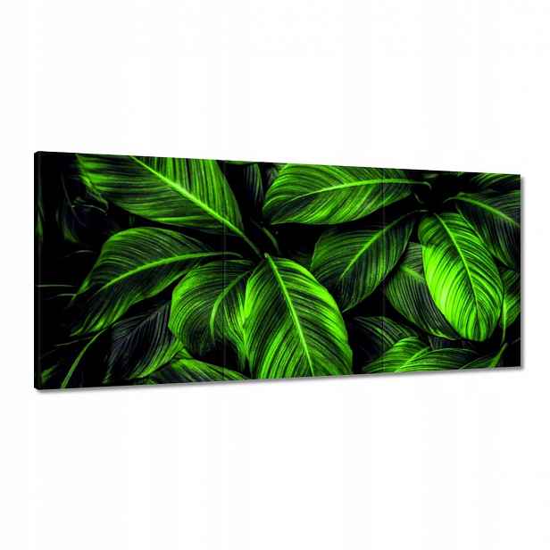 Obrazy 150x70 Zelené listy