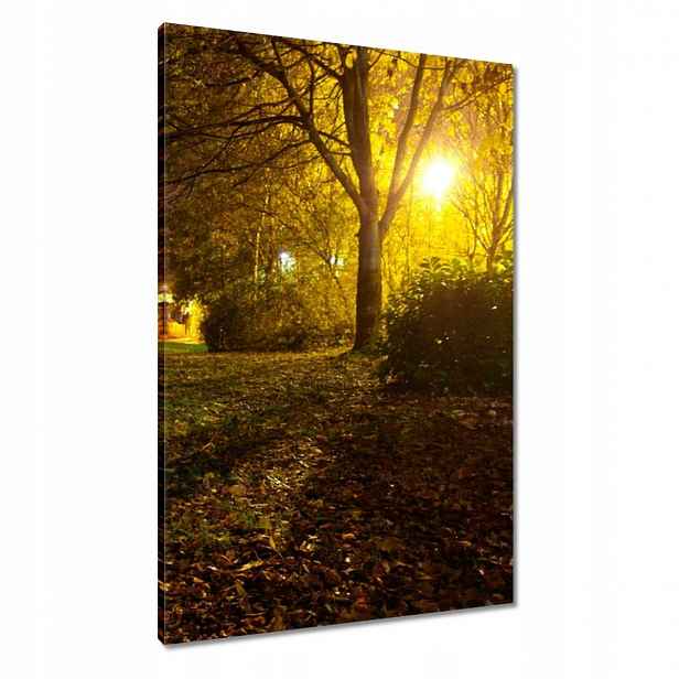 Obrazy 60x90 Park v noci