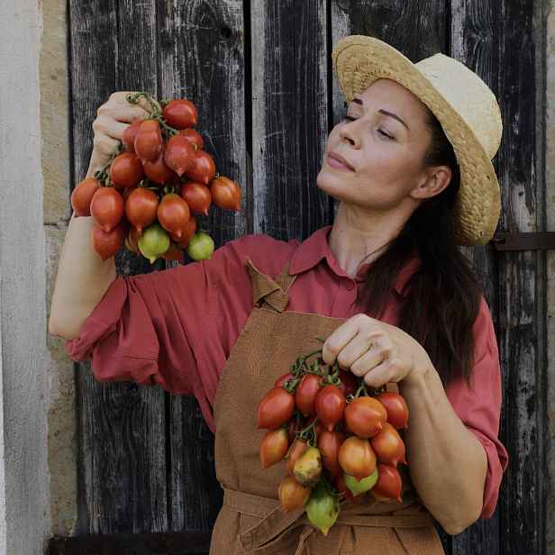 Culina Botanica Rajče Pinellini del Vesuvo