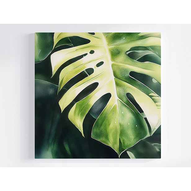 Obraz Na Plátně Plátno Rostliny Zelený List Monstera Filodendron 60x60