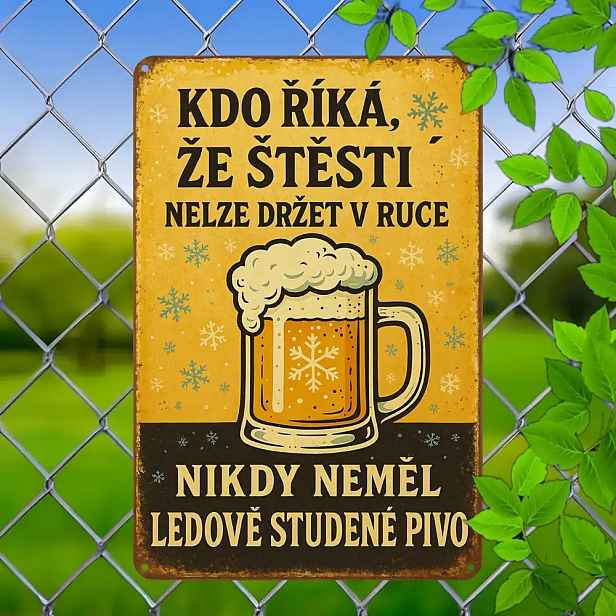 TEMU 2D plochá - 1ks Retro plechová cedule s českým sloganem | Plechové kovové nástěnné umění | Nostalgická dekorativní plaketa | Vhodné pro