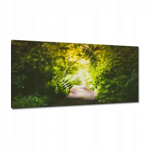 Obrazy 115x55 Zelené listy Listy