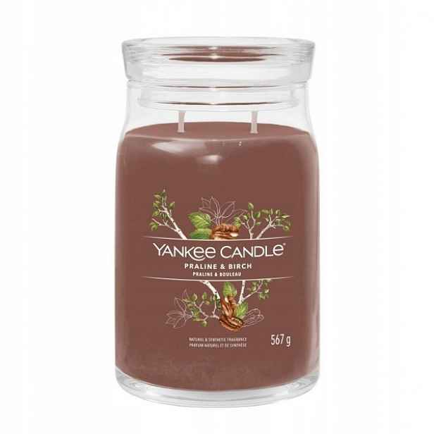 Yankee Candle Velká vonná svíčka Signature Praline & Birch 623 g