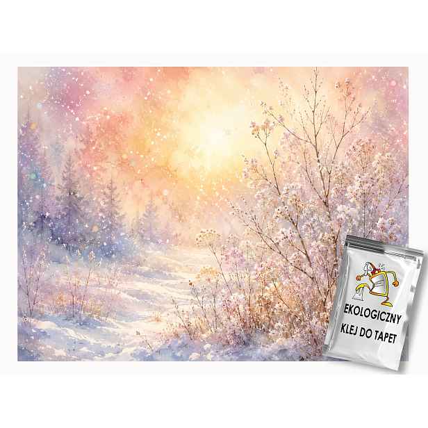 Fototapeta Flizelina Zima Sníh Mráz Les Stezka Slunce 416x290 130g