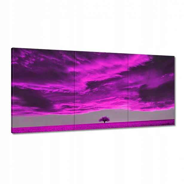 Obrazy 120x60 Fialová krajina