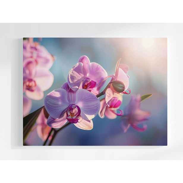 Plakát Zen Květina Orchidej Příroda 100x75