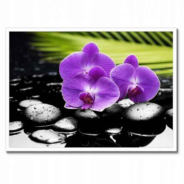 Plakáty v rámu 70x50 Fialové orchideje