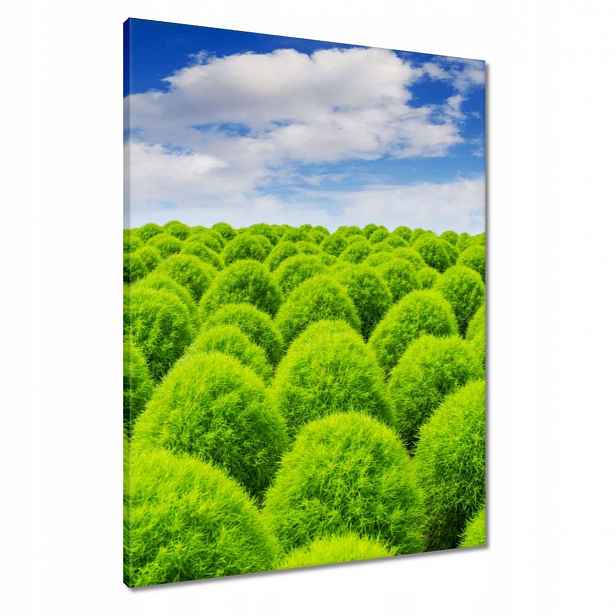 Obrazy 60x80 Zelený pohled Dolina