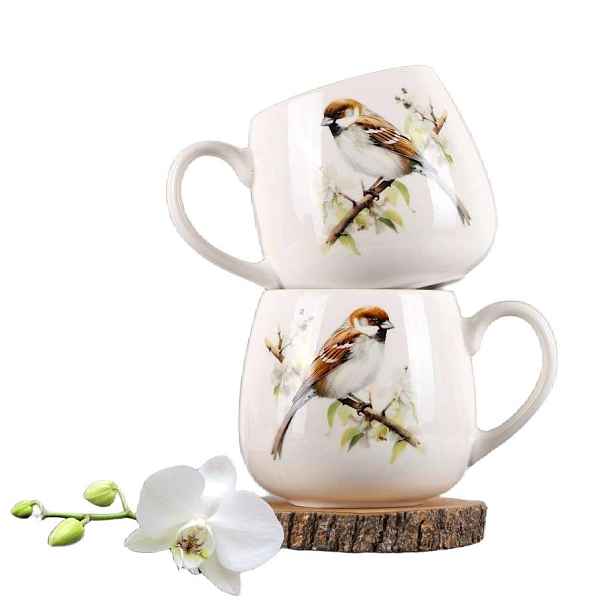 VERONI - Hrnek 440ml Sparrow
