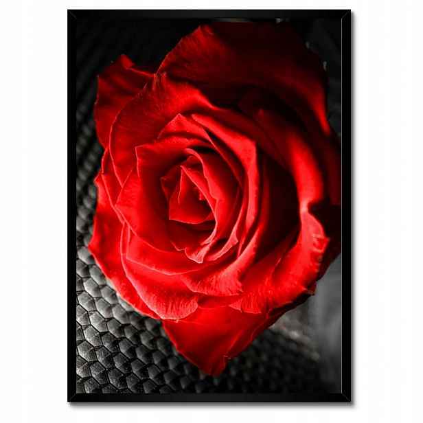 Plakáty v rámu 50x70 Červená mezi šedou
