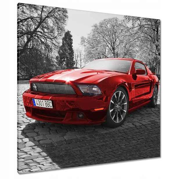 Obrazy 90x90 Červený Mustang