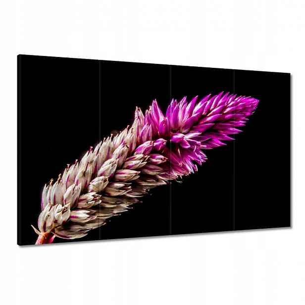 Obrazy 120x80 ve fialové barvě