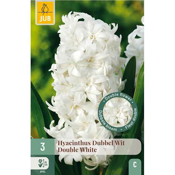 Hyacint Double White 3 ks