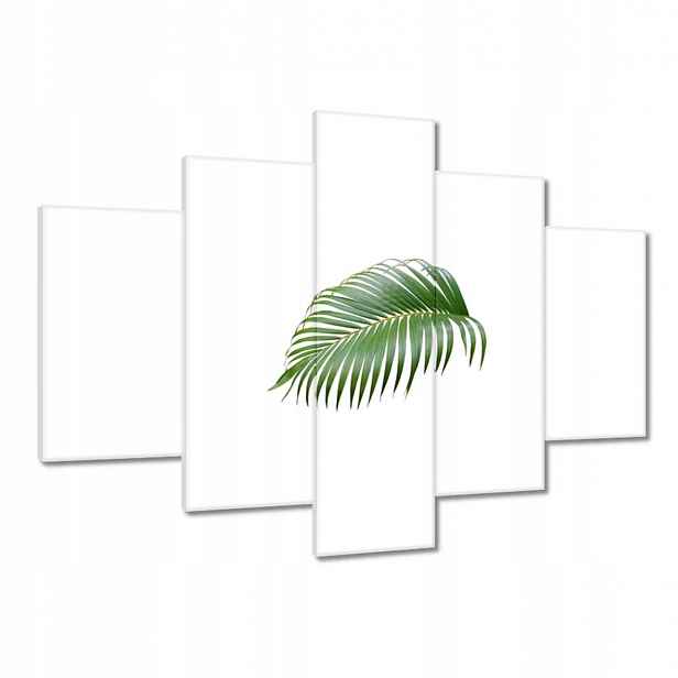 Obrazy 150x105 Zelený list Minimalismus