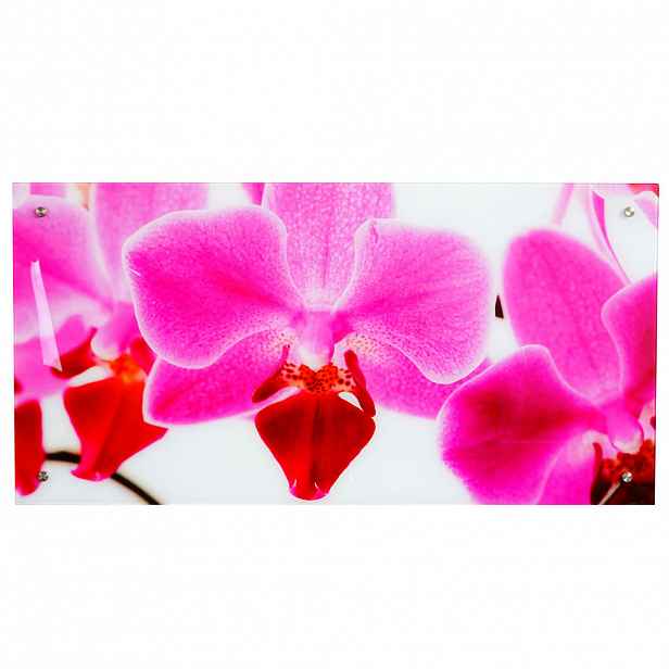 MCW SKLENĚNÝ OBRAZ ORCHIDE Multicolor