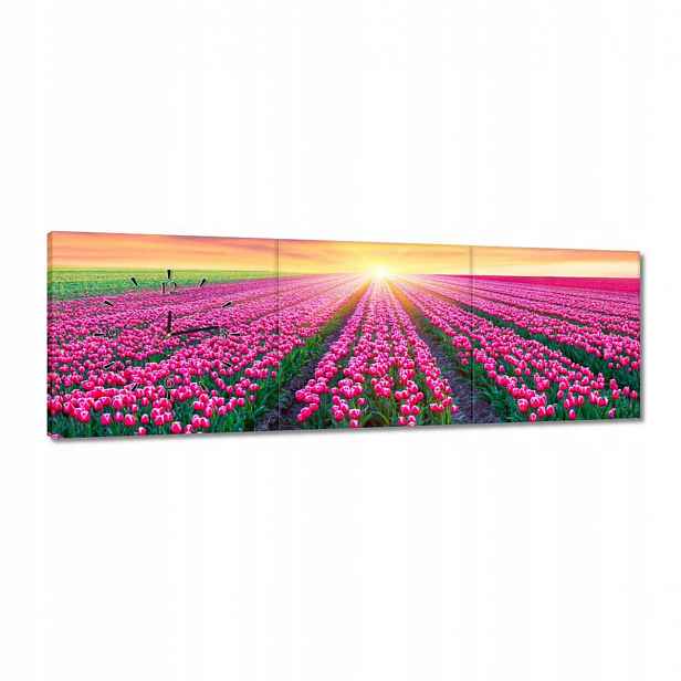 Hodiny 120x40 Moře tulipánů Květiny