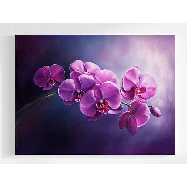 Plakát Příroda Květina Orchidej 100x75