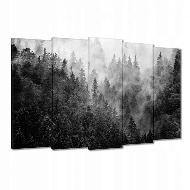 Obrazy 150x95 Krajina Šedá Hory Mlha