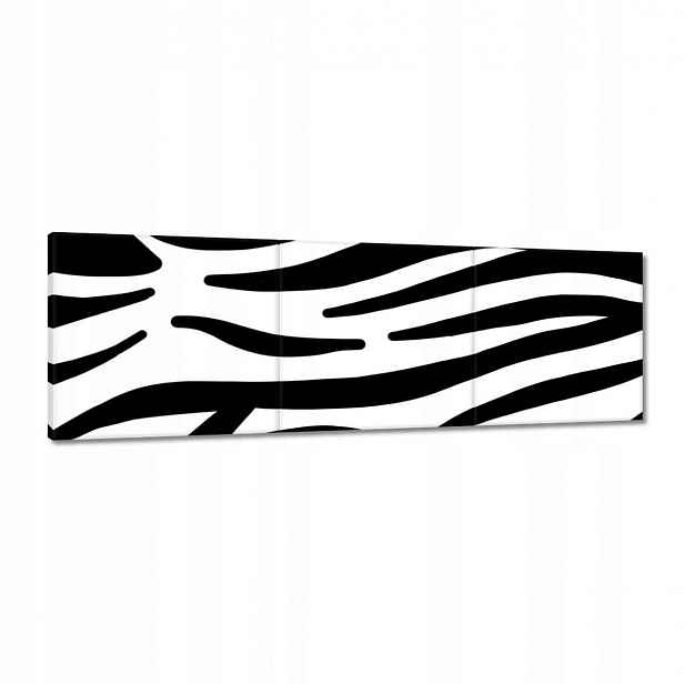 Obrazy 120x40 Zebra Pruhy