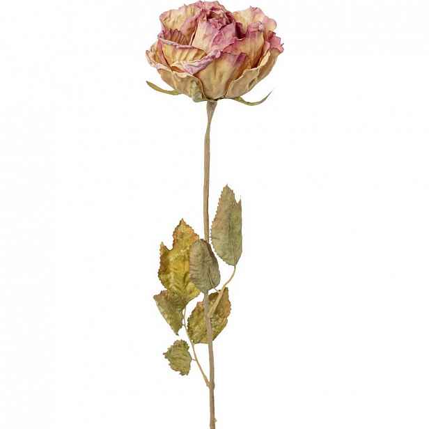 Umělá Rostlina Ruža, V: 53cm