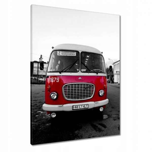 Obrazy 60x80 Červený Jelcz Okurka