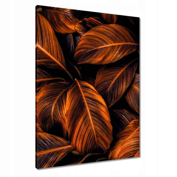 Obrazy 60x80 Oranžové listy