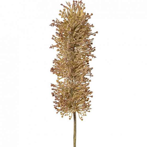 Umělá Rostlina Eremus, V: 63cm