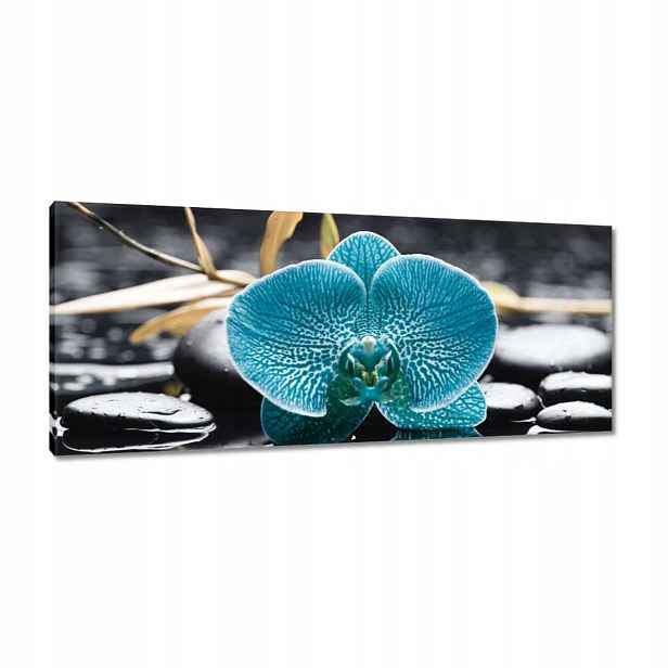 Obrazy 100x40 Tyrkysový orchidej Květina