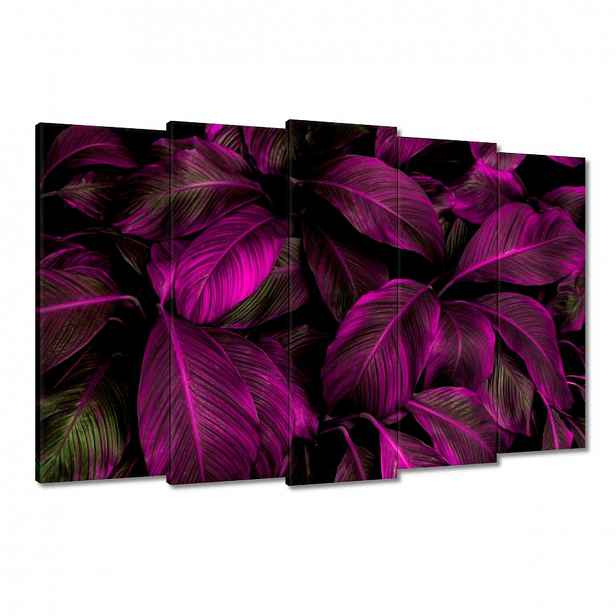 Obrazy 150x95 Krásné fuchsiové listy