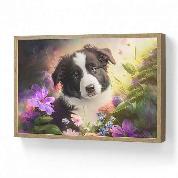 OnlyWow NÁSTĚNNÁ LAMPA S AKUMULÁTOREM Štěně - Slunce - Květiny - Příroda - Border kolie - Pes 60x40 cm