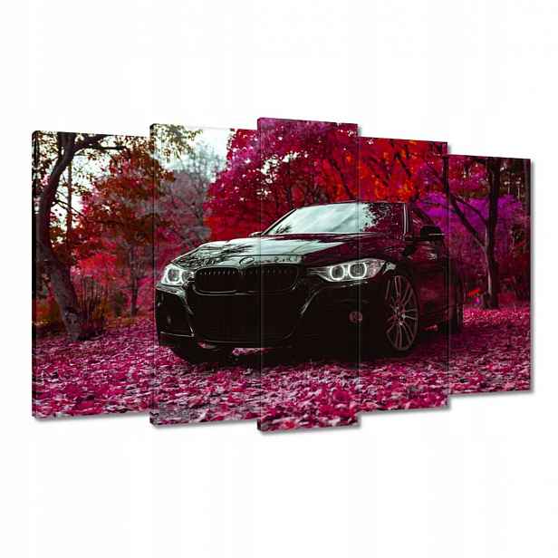 Obrazy 100x60 Černé Bmw Podzim