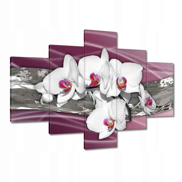 Obrazy 100x70 Bílé orchideje na růžovém pozadí