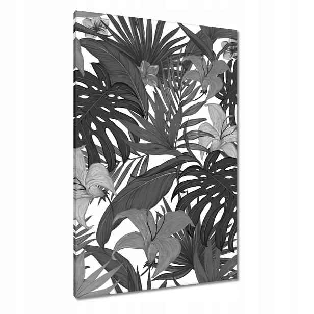 Obrazy 80x120 Černobílá monstera