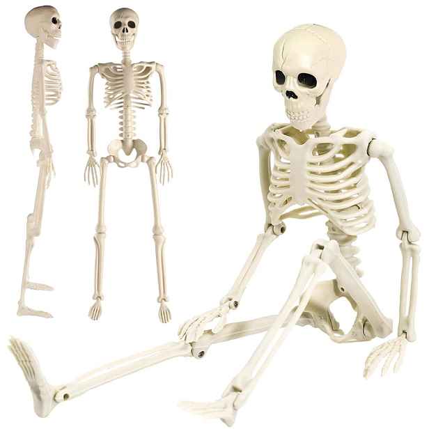 94 cm Lebka na Halloween s pohyblivými klouby Dekorace lebka Bedee