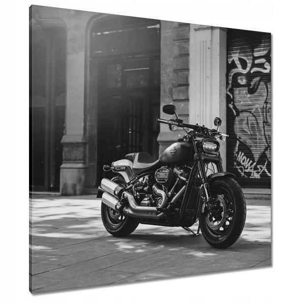 Obrazy 80x80 Harley Davidson Motocykl