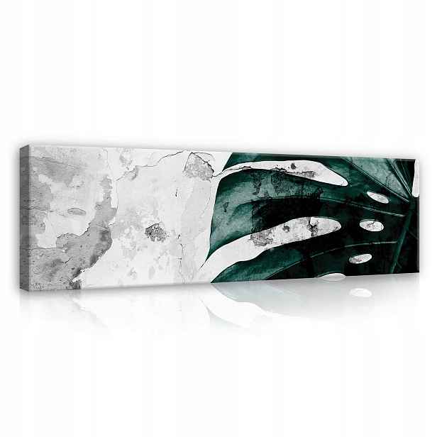 Obraz 145x45 Monstera list zelená stěna textura kontrast příroda růst