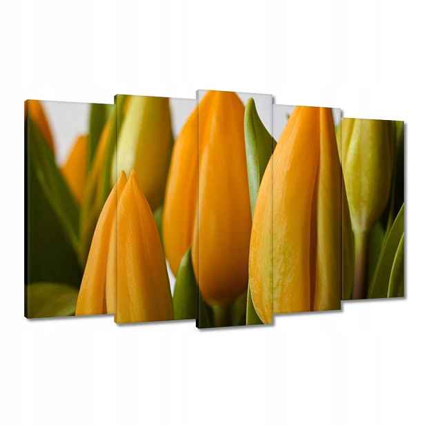 Obrazy 100x60 Žluté tulipány