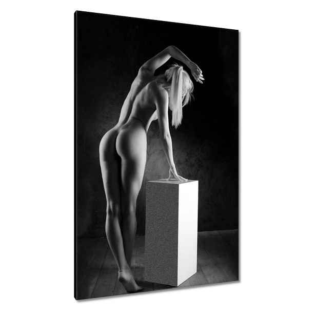 Obrazy 80x120 Žena Akt Černobílý