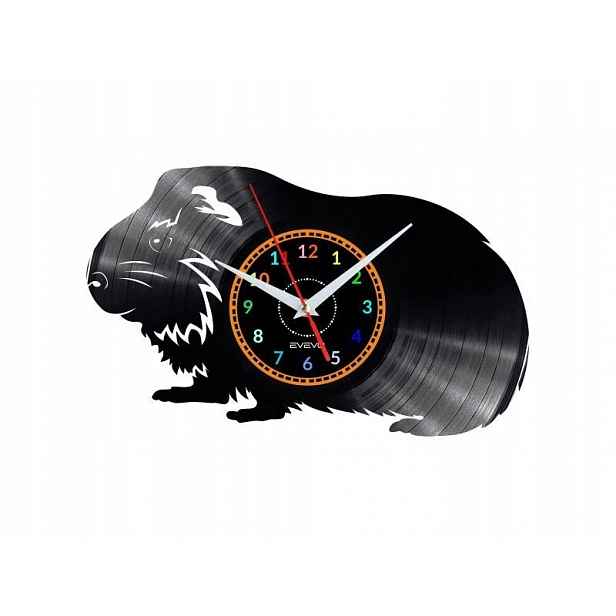Křeček Dekorativní Nástěnné Hodiny Moderní Vinylová Deska Jako Dárek