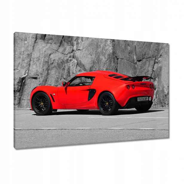 Obrazy 90x60 Červený Lotus