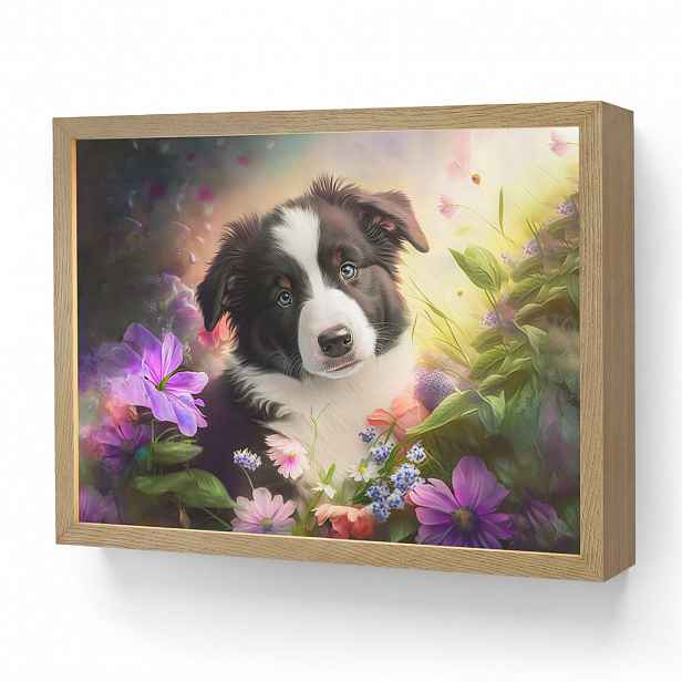 OnlyWow NÁSTĚNNÁ LAMPA S AKUMULÁTOREM Štěně - Slunce - Květiny - Příroda - Border kolie - Pes 40x30 cm