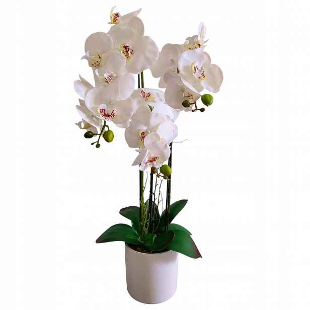 Orchidej V Květináči Bílá Orchidej Dekorativní Kompozice 70 cm