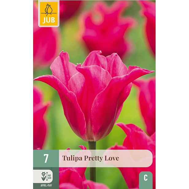 Tulipán Pretty Love 7 ks