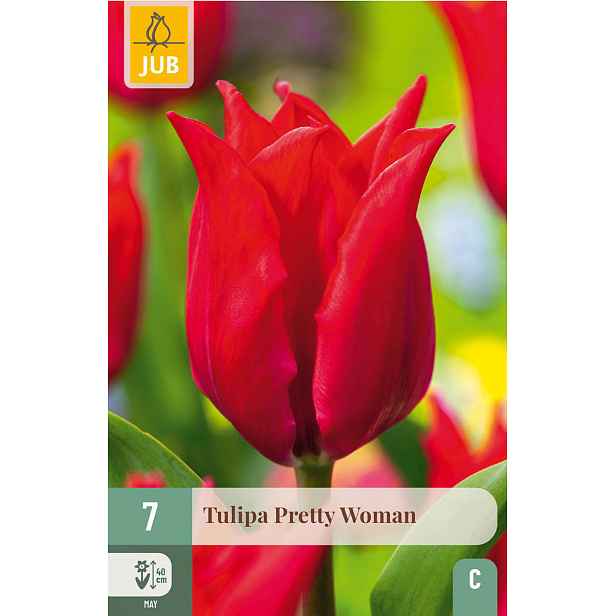 Tulipán Pretty Woman 7 ks