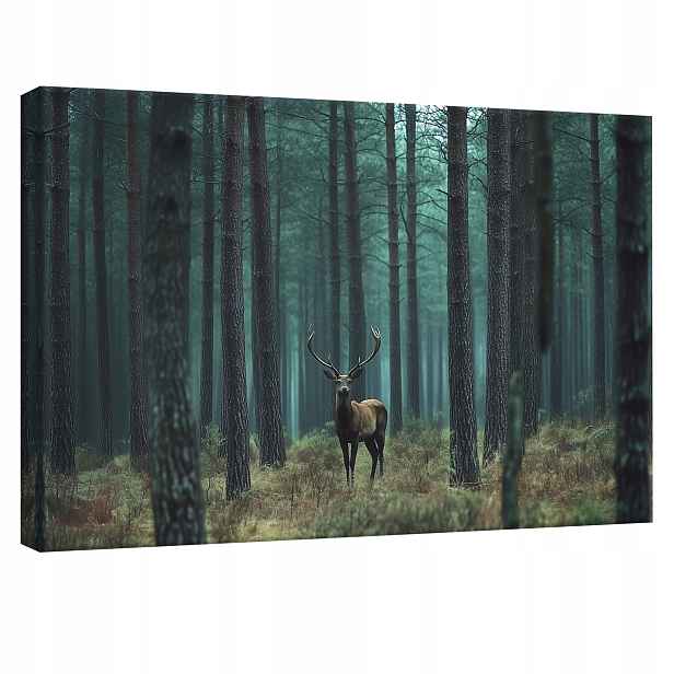 Obraz 120x80 Jelen les mlha příroda borovice tajemství osamělost