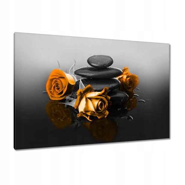 Obrazy 120x80 Oranžová růže Spa