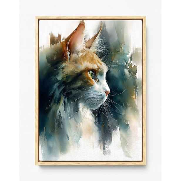 Obraz Rám Americký Box Akvarel Portrét Zvíře Rudý Bílý Kocour 60x80
