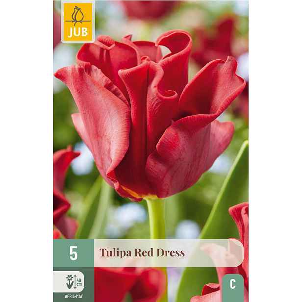 Tulipán Red Dress 5 ks