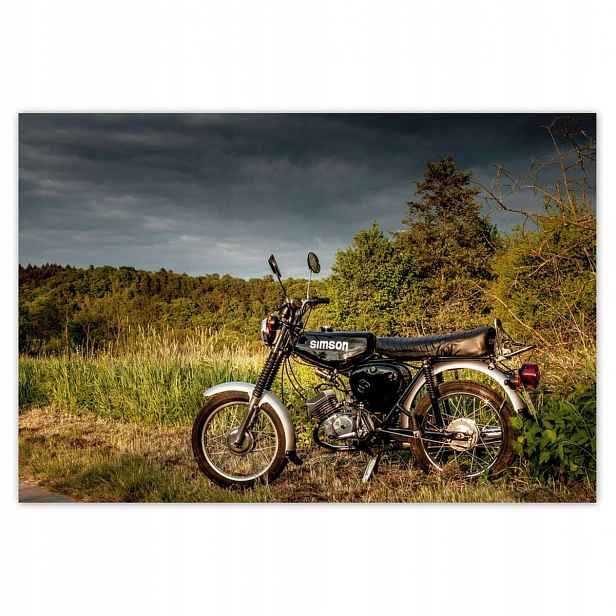 Fototapety 200x135 Černý Simson