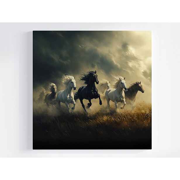 Obraz Na Plátně Canvas Zvířata Koně Kůň Cval Pohyb Příroda 50x50